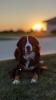 Jered McGivern's picture